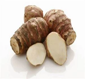Jerusalem artichoke