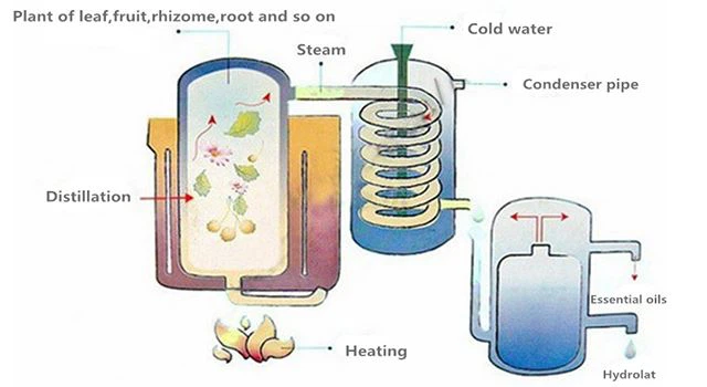 essential oil produce process