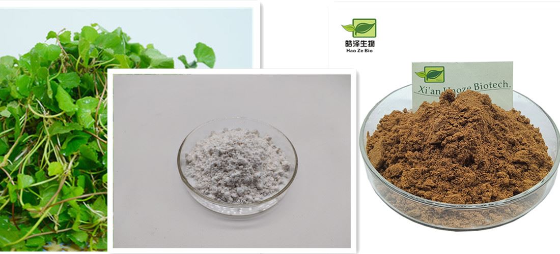 centella extract