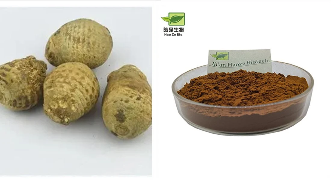 Rhizoma alismatis extract powder