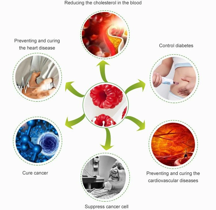 Function of raspberry extract
