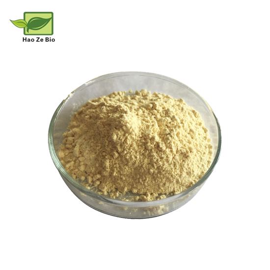 soybean-extract-powder